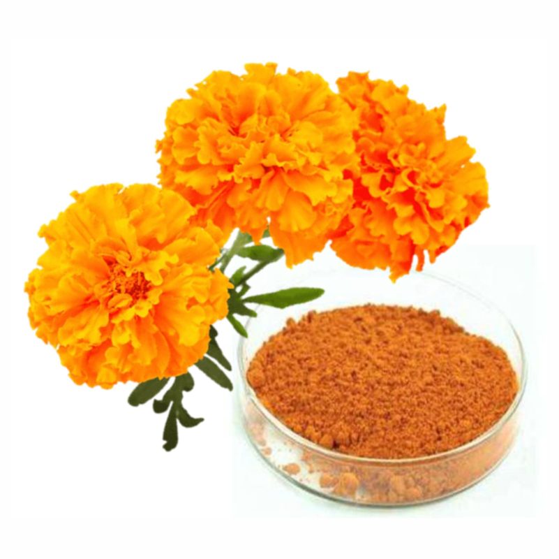 luteina-en-polvo-x-100g-nutryd-a-per